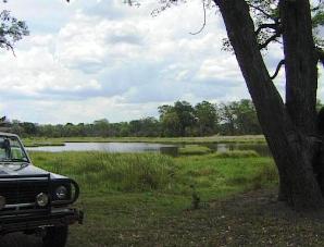 Moremi lagoon
